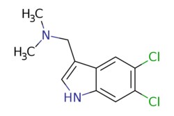 eMolecules​ 5,6-DICHLOROGRAMINE | 121872-64-8 | MFCD28133525 | 1g, Quantity: