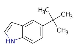 eMolecules​ 5-TERT-BUTYL-1H-INDOLE | 92462-70-9 | MFCD20668007 | 1g, Quantity: