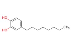 eMolecules​ 1,2-BENZENEDIOL,4-OCTYL- | 7580-46-3 | MFCD30342423 | 1g