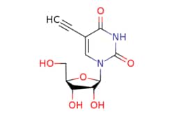 eMolecules​&nbsp;5-Ethynyl Uridine (EU) | 69075-42-9 |  | 500mg