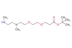 eMolecules​ N,N'-DME-N-PEG2-tert-butyl ester | 2279944-69-1 | | 1g, Quantity: