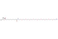 eMolecules​ 9-(Amino-PEG9-ethylcarbamoyl)nonanoic t-butyl ester | | | 500mg,