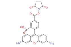 eMolecules​ 5-Carboxyrhodamine 110 NHS Ester | | | 100mg, Quantity: Each