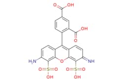eMolecules​&nbsp;BP Fluor 488 acid |  |  | 25mg