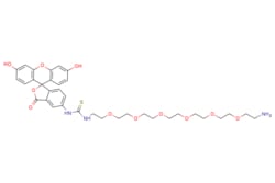 eMolecules​&nbsp;Fluorescein-PEG6-Amine |  |  | 10mg