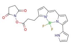 eMolecules​&nbsp;BDP 576/586 NHS ester |  |  | 50mg