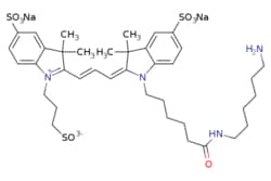 eMolecules​ Sulfo-Cy3-Amide-C6-Amine | | | 25mg, Quantity: Each of 1