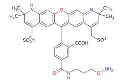 eMolecules​ BP Fluor 568 Hydroxylamine | | | 25mg, Quantity: Each of 1