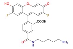 eMolecules​&nbsp;Difluorocarboxyfluorescein Cadaverine, 5-isomer |  |  | 100mg