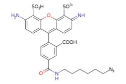 eMolecules​&nbsp;BP Fluor 488 Azide |  |  | 25mg