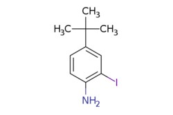 eMolecules​ 4-tert-Butyl-2-iodoaniline | 128318-63-8 | MFCD09743667 | 1g,