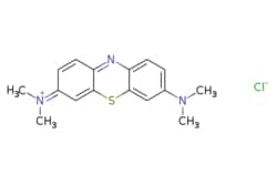 eMolecules​ Methylene blue | 61-73-4 | MFCD00012111 | 25g, Quantity: Each
