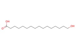 eMolecules​ 16-Hydroxyhexadecanoic acid | 506-13-8 | MFCD00002750 | 25g,