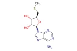 eMolecules​ 5'-S-Methyl-5'-thioadenosine | 2457-80-9 | | 1g, Quantity: