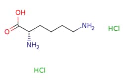 eMolecules​ L-Lysine dihydrochloride | 657-26-1 | MFCD00066389 | 5g, Quantity: