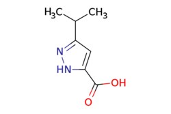 eMolecules​ 5-Isopropyl-2h-pyrazole-3-carboxylic acid | 92933-47-6 | MFCD02224142 | 25g