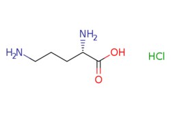 eMolecules​ L-Ornithine, HCl | 3184-13-2 | | 5g, Quantity: Each of 1