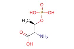 eMolecules​ O-Phospho-L-threonine | 1114-81-4 | | 1g, Quantity: Each of