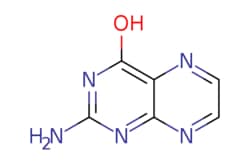 eMolecules​ 2-Amino-4-hydroxy-pteridine | 2236-60-4 | MFCD01456481 | 1g,