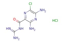 eMolecules​&nbsp;Amiloride hydrochloride | 2016-88-8 | MFCD00058197 | 25g
