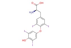eMolecules​ D-Thyroxine | 51-49-0 | MFCD00063056 | 1g, Quantity: Each of