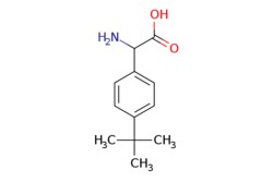 eMolecules​ Amino(4-tert-butylphenyl)acetic acid | 299165-27-8 | MFCD02662470 | 1g