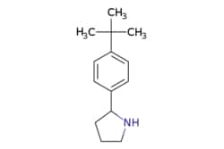 eMolecules​&nbsp;2-(4-tert-Butylphenyl)pyrrolidine | 383127-16-0 | MFCD02663422 | 1g