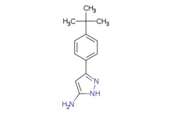 eMolecules​ 3-(4-tert-Butylphenyl)-1h-pyrazol-5-amine | 907987-76-2 | MFCD01763825