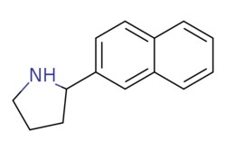 eMolecules​ 2-(2-Naphthyl)pyrrolidine | 100710-37-0 | MFCD02663521 | 1g,