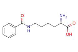 eMolecules​ N-Epsilon-benzoyl-L-lysine | 1219-46-1 | MFCD00037222 | 1g