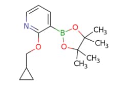 eMolecules​&nbsp;2-Cyclopropylmethoxy-3-(4,4,5,5-tetramethyl-[1,3,2]dioxaborolan-2-yl)-pyridine | 848243-26-5 | MFCD07366723 | 1g