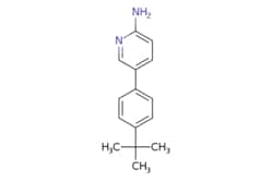 eMolecules​&nbsp;5-(4-tert-butylphenyl)pyridin-2-amine | 893738-38-0 | MFCD06802656 | 1g