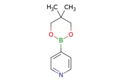 eMolecules​ Pyridine-4-boronic acid, neopentyl ester | 869901-52-0 | MFCD04039039