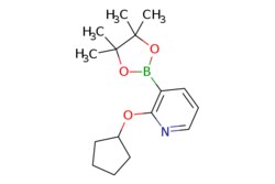 eMolecules​ 2-(Cyclopentyloxy)pyridine-3-boronic acid, pinacol ester | 1073371-90-0 | MFCD07781170 | 1g
