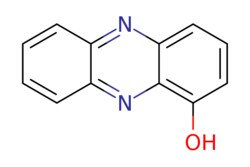 eMolecules​ 1-Hydroxyphenazine | 528-71-2 | MFCD00059692 | 1g, Quantity: