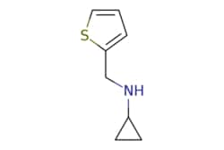 eMolecules​ Cyclopropyl-thiophen-2-ylmethyl-amine | 14471-18-2 | MFCD03856576 | 1g