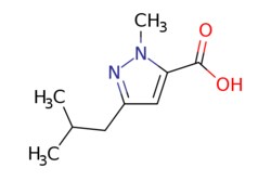 eMolecules​ 3-Isobutyl-1-methyl-1h-pyrazole-5-carboxylic acid | 769132-77-6
