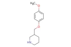 eMolecules​ 3-[(4-Methoxyphenoxy)methyl]piperidine | 405060-20-0 | MFCD07643221