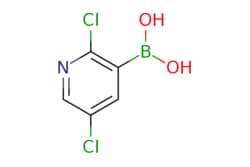 eMolecules​ 2,5-Dichloropyridine-3-boronic acid | 536693-97-7 | MFCD06659486