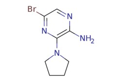 eMolecules​ 2-Amino-5-bromo-3-pyrrolidin-1-ylpyrazine | 893611-72-8 | MFCD08056164