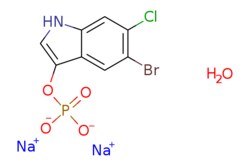 eMolecules​&nbsp;5-Bromo-6-chloro-3-indoxyl phosphate, disodium salt monohydrate | 404366-59-2 | MFCD05663499 | 1g