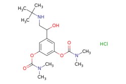 eMolecules​ Bambuterol hydrochloride | 81732-46-9 | MFCD03427293 | 25g,