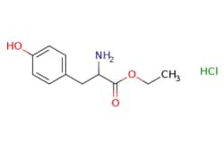 eMolecules​ DL-tyrosine ethyl ester, HCl | 5619-08-9 | MFCD00020205 | 1g,