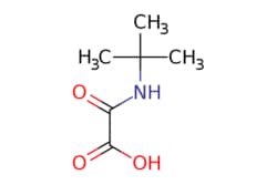 eMolecules​ (tert-Butylamino)(oxo)acetic acid | 169772-25-2 | MFCD02625536