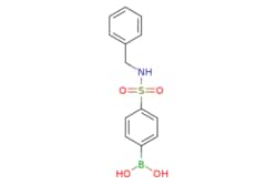 eMolecules​&nbsp;N-Benzyl 4-boronobenzenesulfonamide | 548769-96-6 | MFCD06659845 | 1g