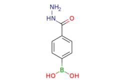 eMolecules​ 4-Boronobenzohydrazide | 850567-95-2 | MFCD06659865 | 1g, Quantity: