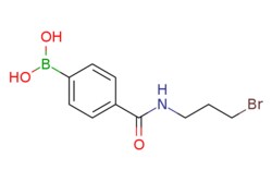 eMolecules​&nbsp;N-(3-Bromopropyl) 4-Boronobenzamide | 850567-41-8 | MFCD06659891 | 1g