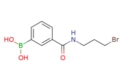 eMolecules​&nbsp;N-(3-Bromopropyl) 3-boronobenzamide | 850567-42-9 | MFCD06659892 | 1g