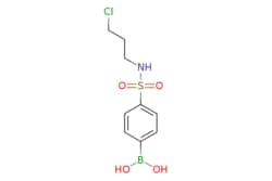 eMolecules​ N-(3-Chloropropyl) 4-boronobenzenesulfonamide | 874219-48-4