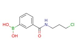 eMolecules​ N-(3-Chloropropyl) 3-boronobenzamide | 874288-10-5 | MFCD08436014
